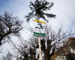 B&uuml;tty-Baby_2__2