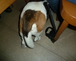STAJG_UPLOAD_IMAGENAME_SEPARATOR16