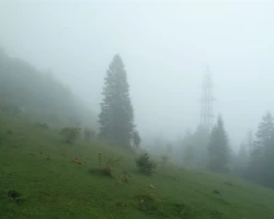 STAJG_UPLOAD_IMAGENAME_SEPARATOR36