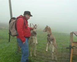 STAJG_UPLOAD_IMAGENAME_SEPARATOR60