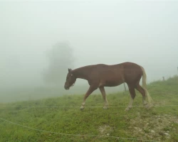 STAJG_UPLOAD_IMAGENAME_SEPARATOR64
