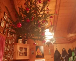 Walsweihnachten 19_14